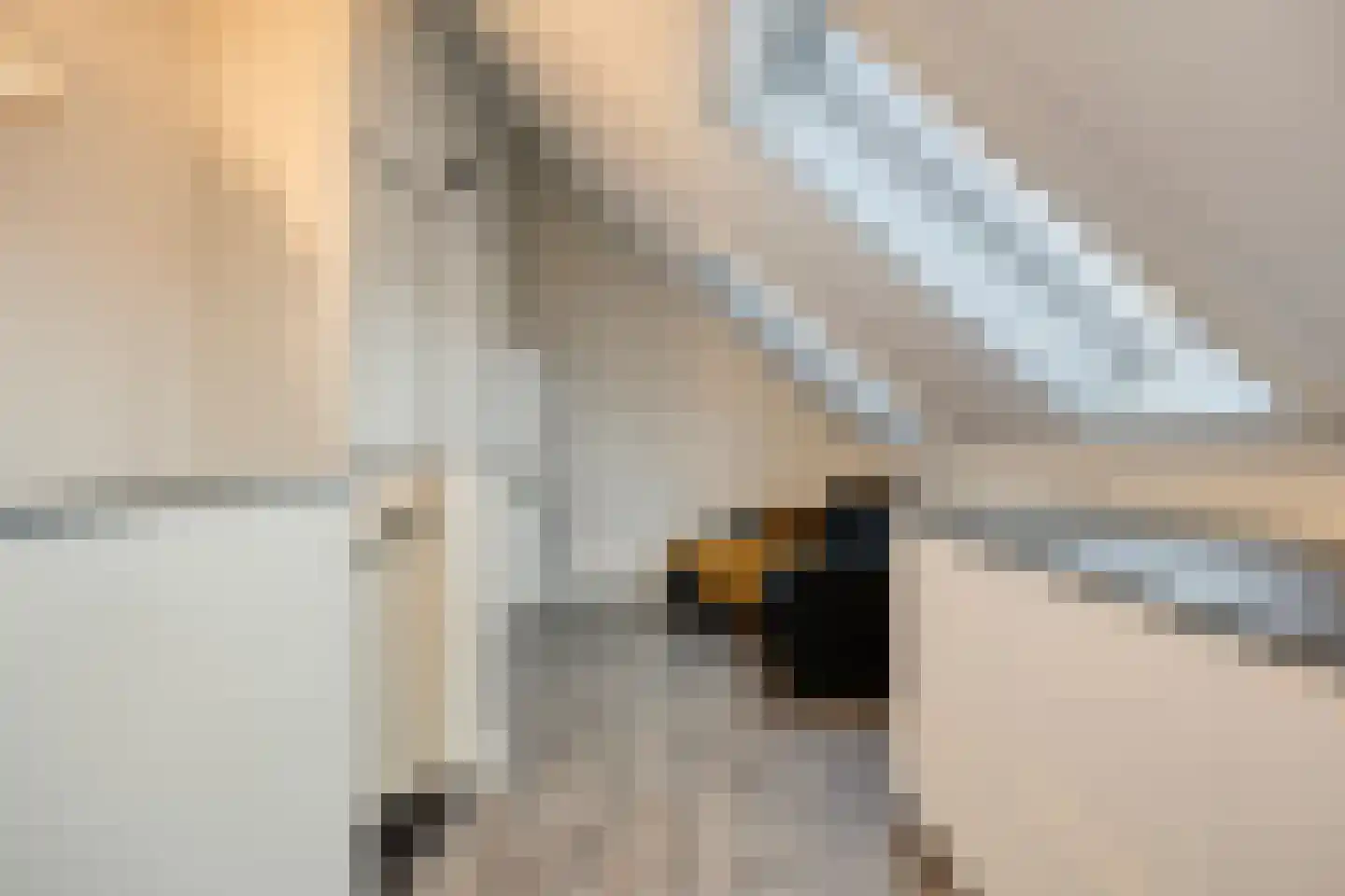 Dagpauwoog 10 Mierlo thumbnail 32