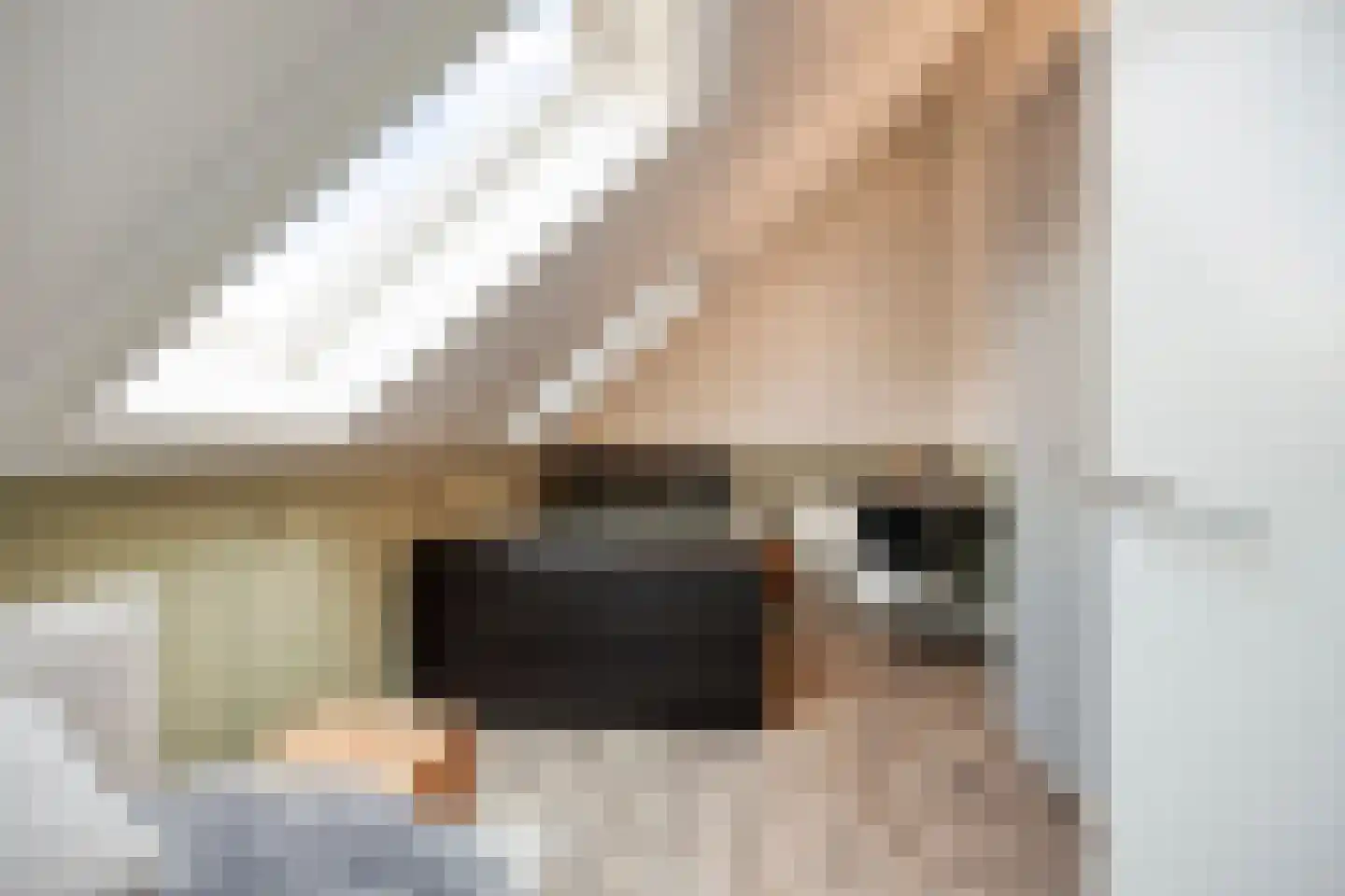 Dagpauwoog 10 Mierlo thumbnail 34