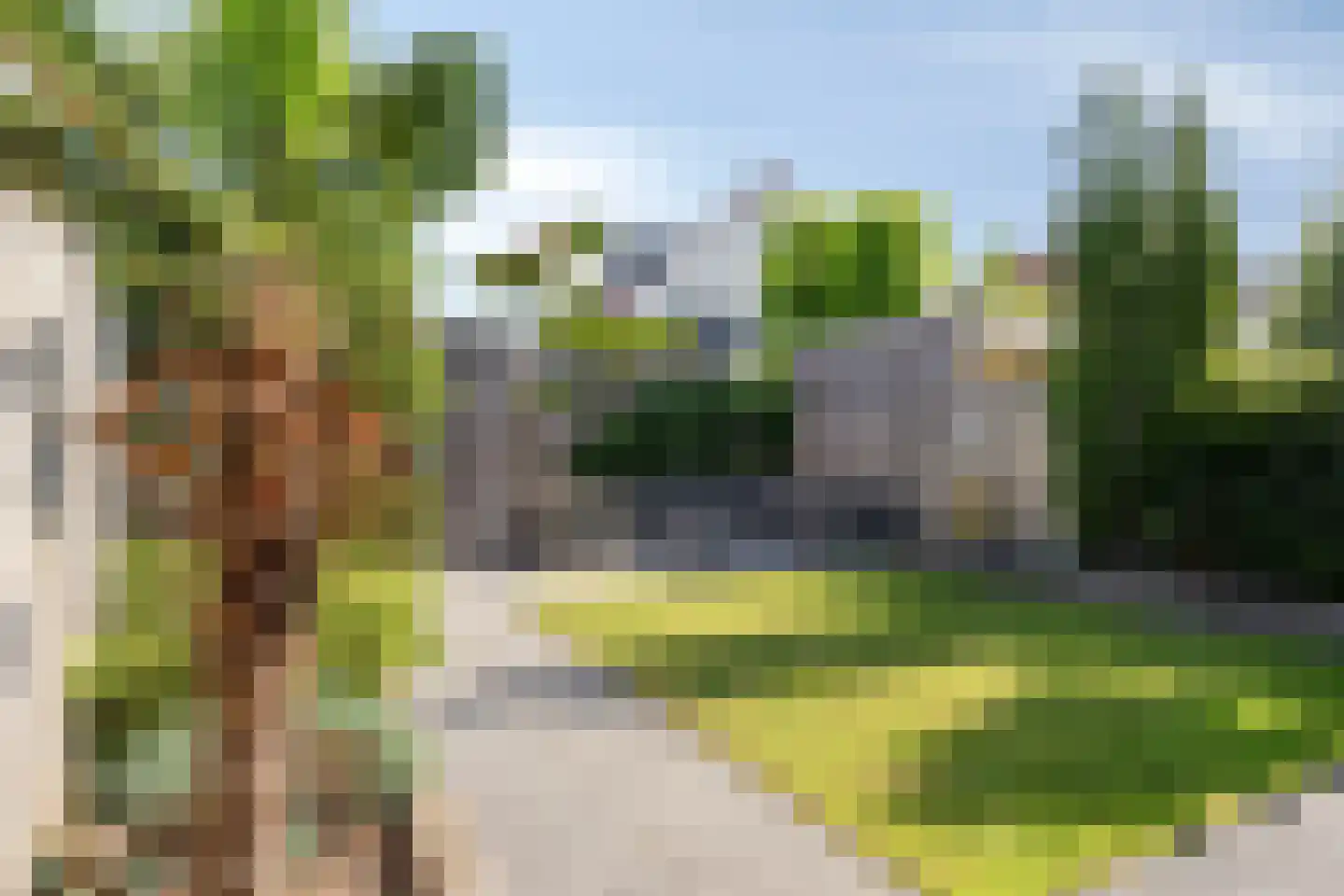 Dagpauwoog 10 Mierlo thumbnail 36