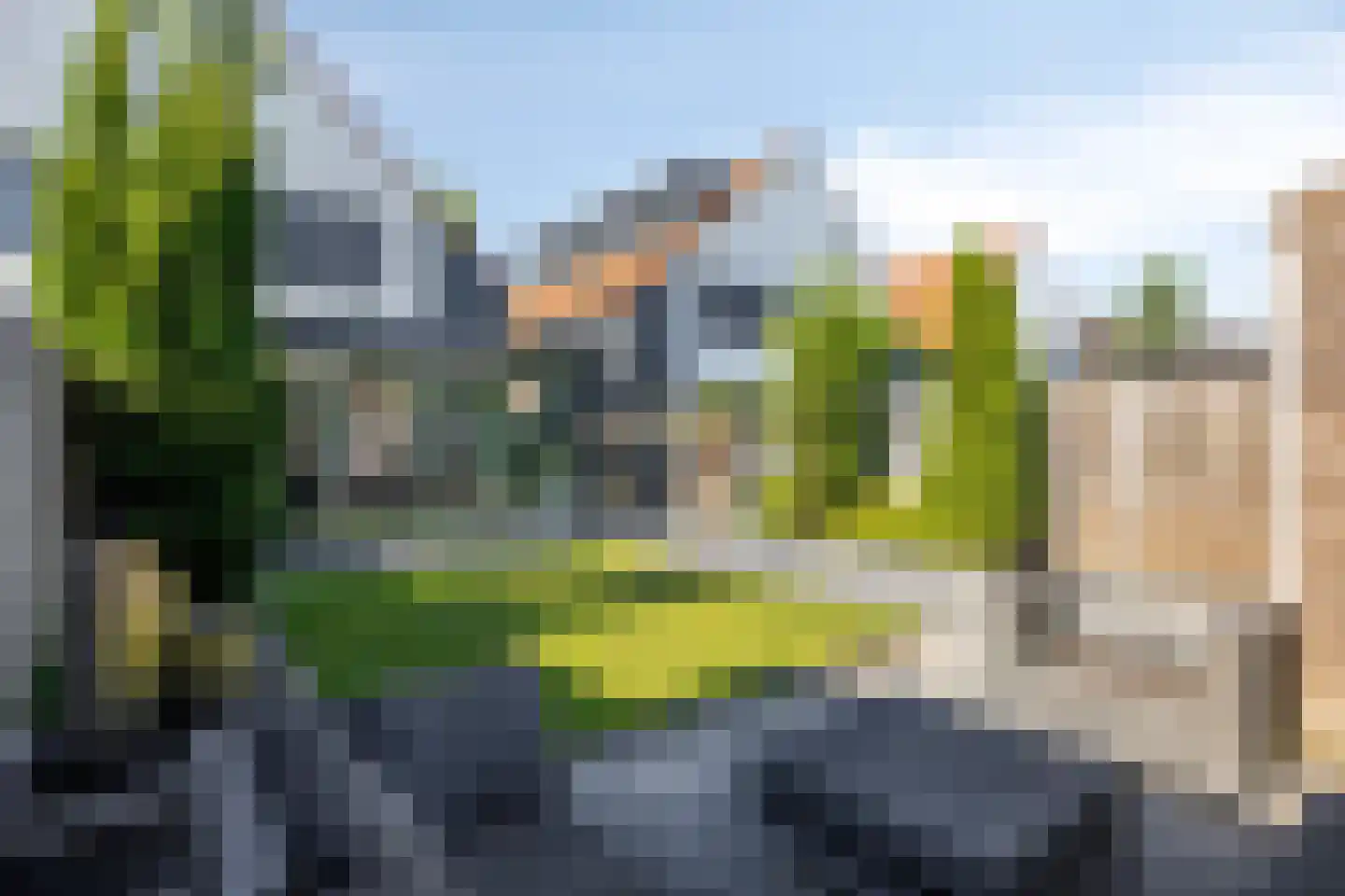 Dagpauwoog 10 Mierlo thumbnail 38