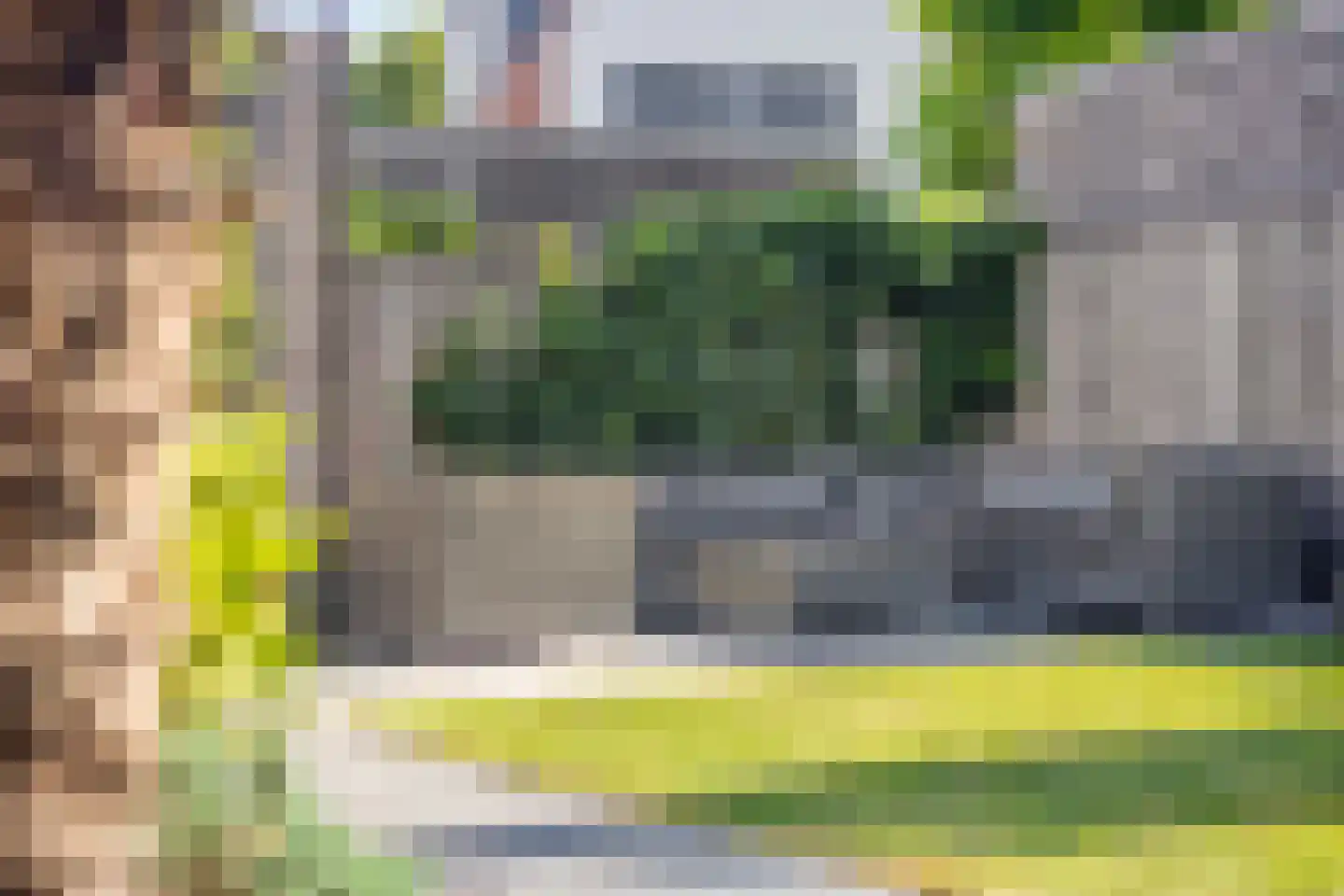 Dagpauwoog 10 Mierlo thumbnail 40