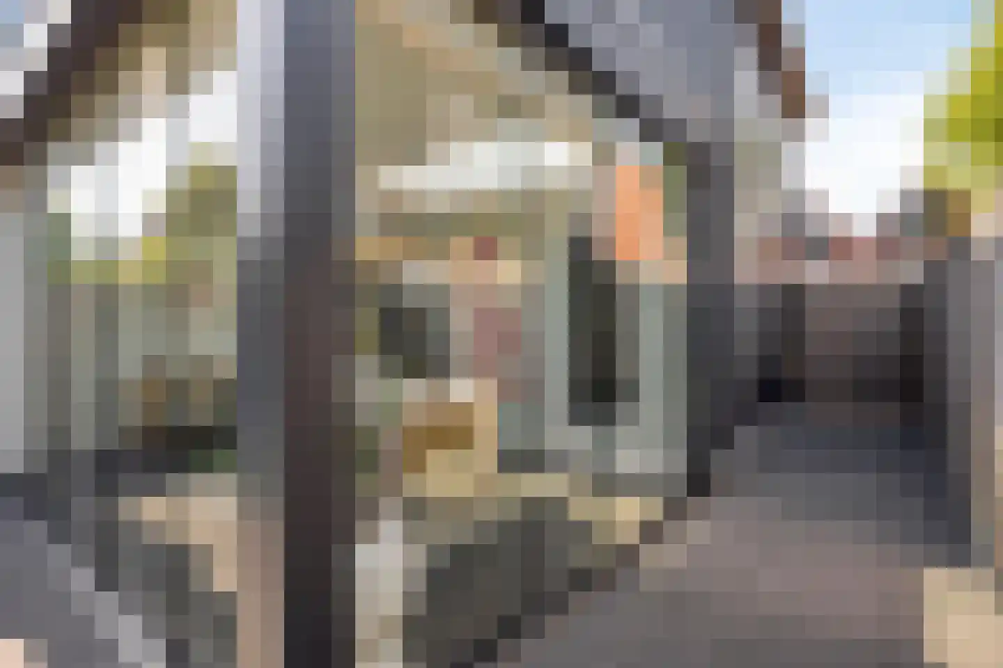 Dagpauwoog 10 Mierlo thumbnail 42