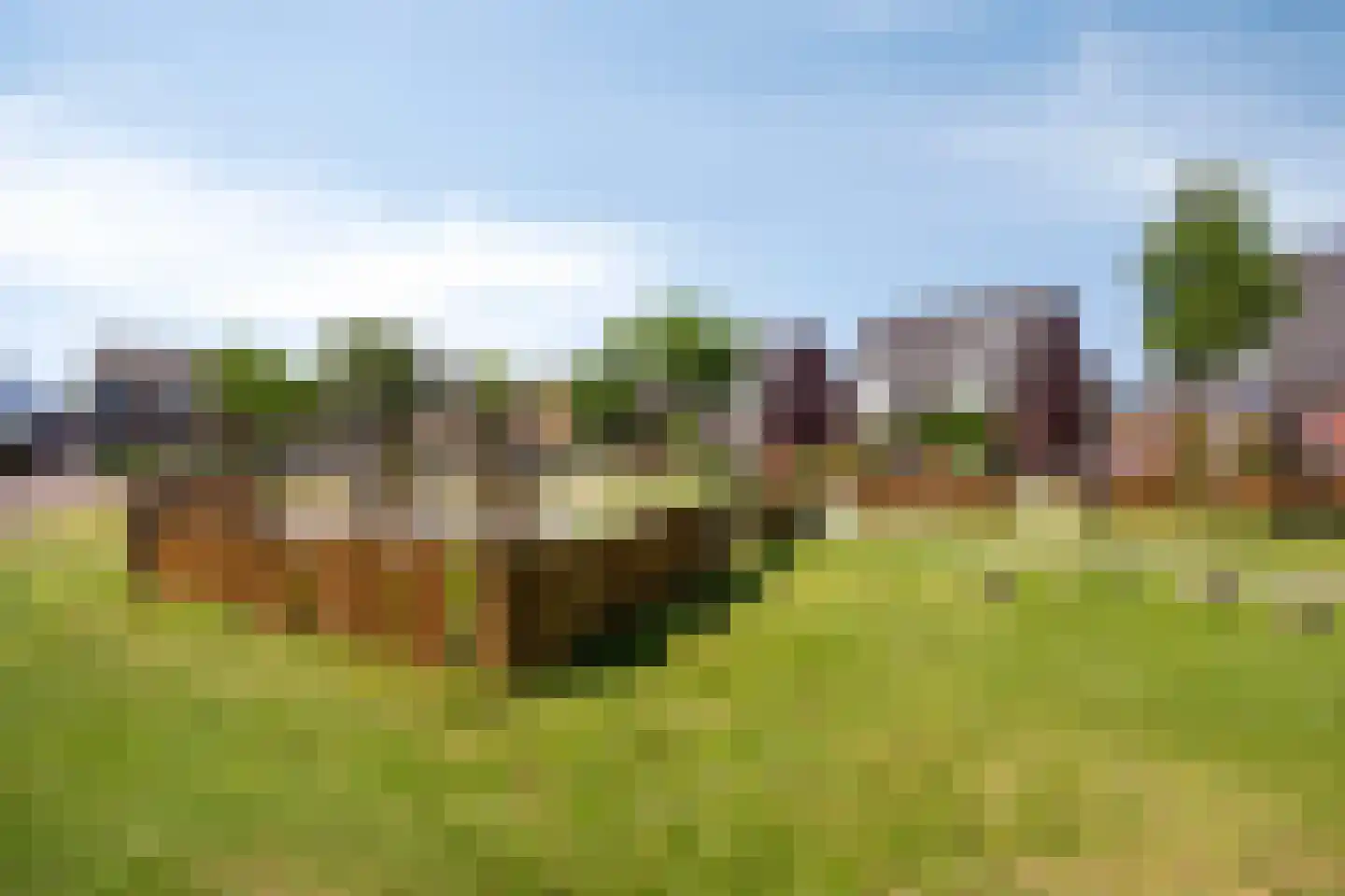 Dagpauwoog 10 Mierlo thumbnail 45