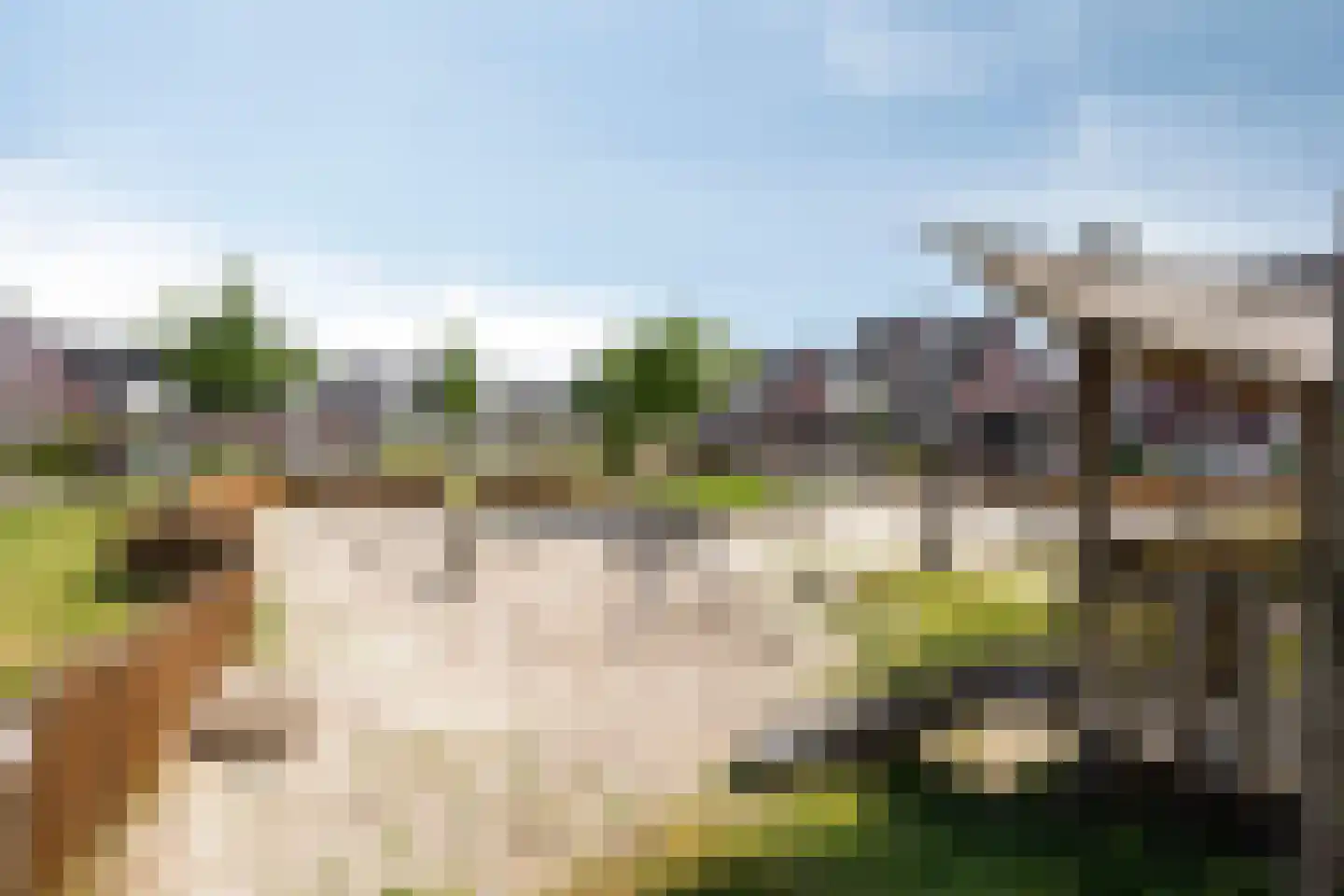 Dagpauwoog 10 Mierlo thumbnail 46