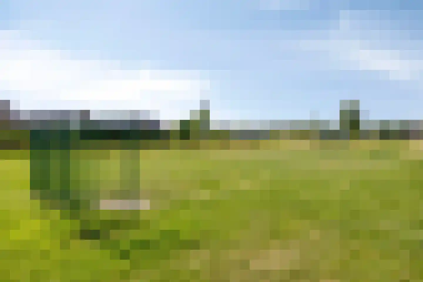 Dagpauwoog 10 Mierlo thumbnail 47
