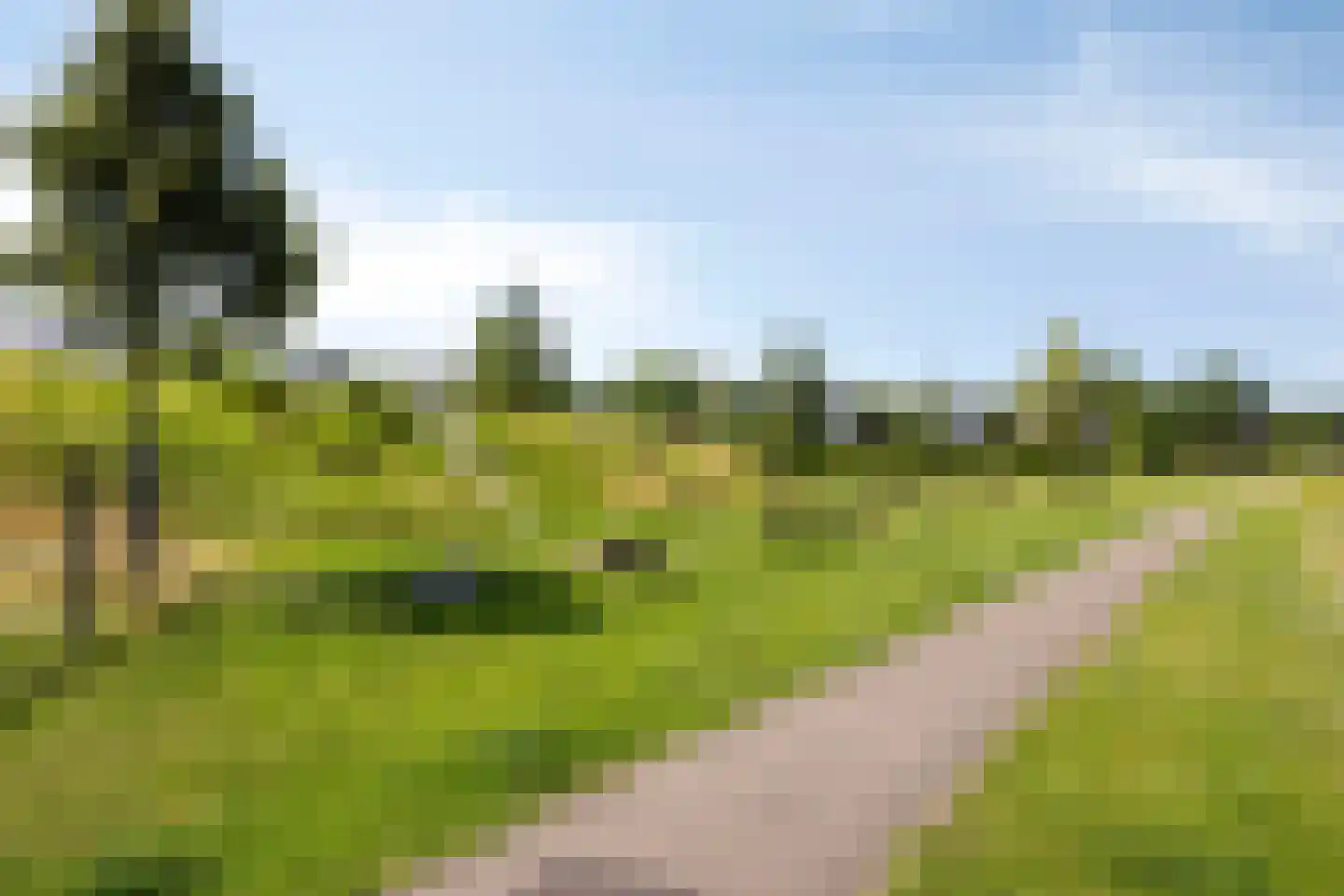 Dagpauwoog 10 Mierlo thumbnail 50