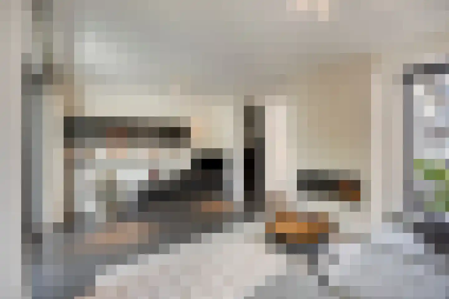 Dagpauwoog 10 Mierlo thumbnail 6