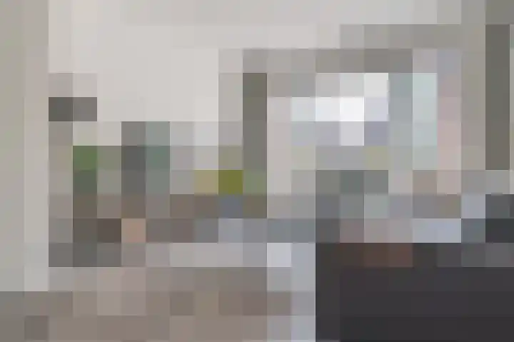 Dagpauwoog 12 Wolvega thumbnail 10