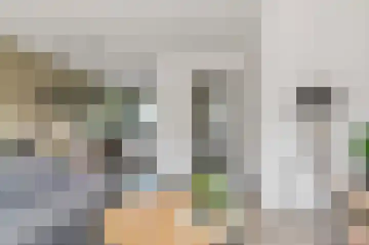 Dagpauwoog 12 Wolvega thumbnail 11