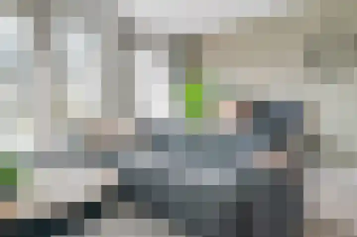 Dagpauwoog 12 Wolvega thumbnail 12