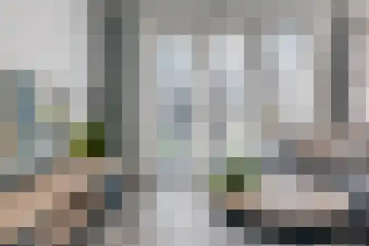 Dagpauwoog 12 Wolvega thumbnail 13