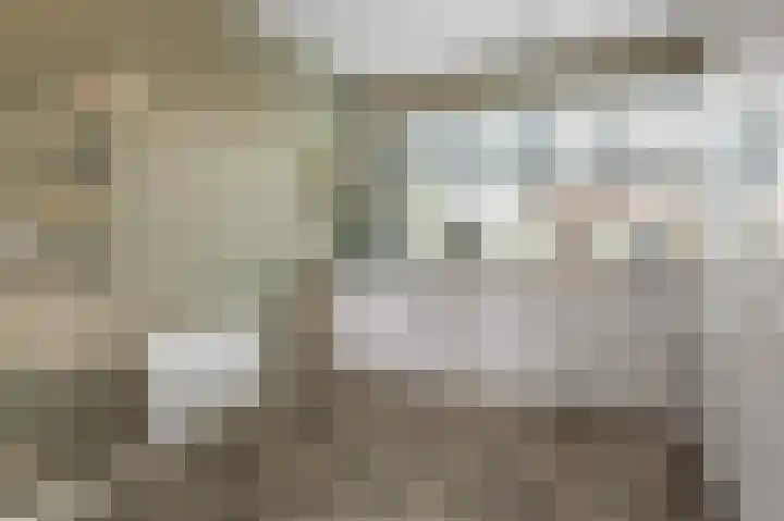 Dagpauwoog 12 Wolvega thumbnail 17