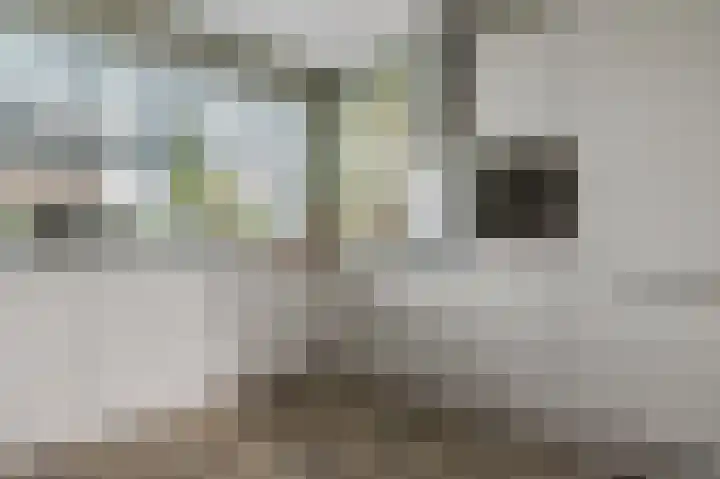 Dagpauwoog 12 Wolvega thumbnail 18