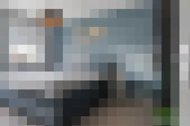 Dagpauwoog 12 Wolvega thumbnail 23