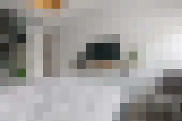 Dagpauwoog 12 Wolvega thumbnail 24