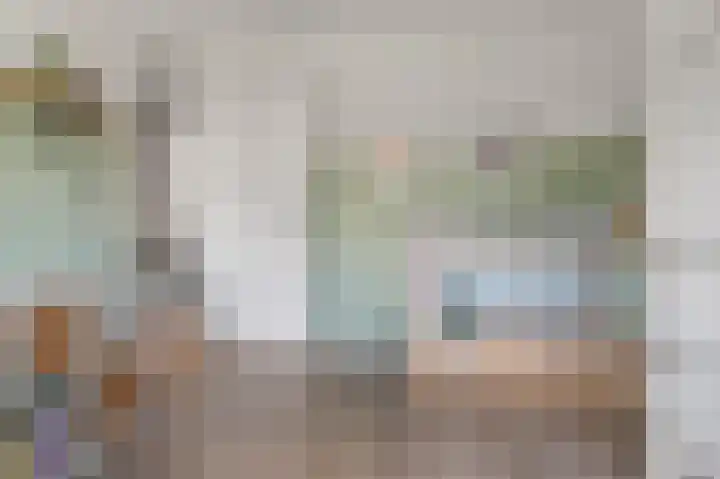 Dagpauwoog 12 Wolvega thumbnail 30