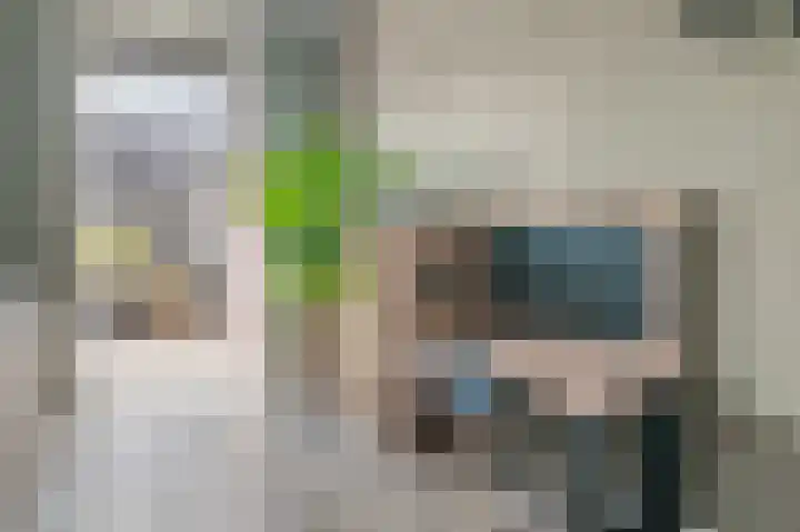 Dagpauwoog 12 Wolvega thumbnail 36