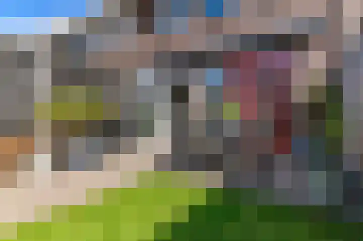 Dagpauwoog 12 Wolvega thumbnail 37