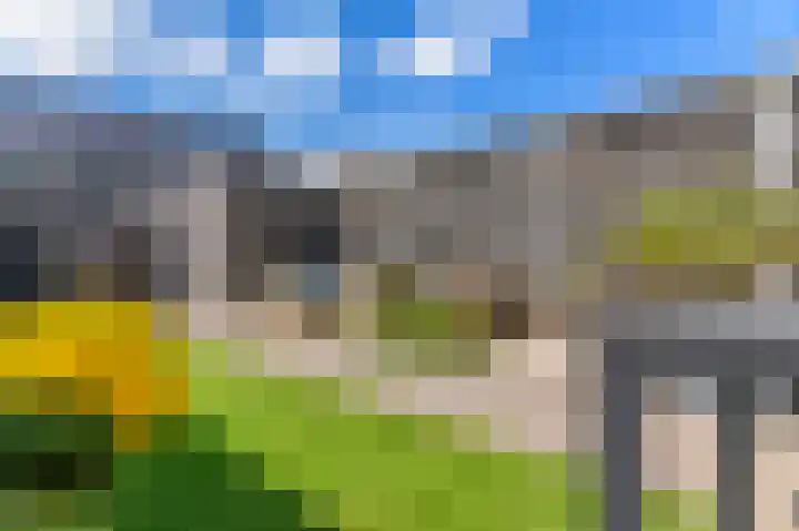 Dagpauwoog 12 Wolvega thumbnail 38
