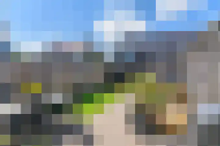 Dagpauwoog 12 Wolvega thumbnail 39