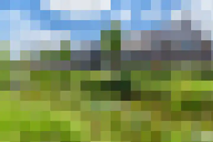 Dagpauwoog 12 Wolvega thumbnail 4