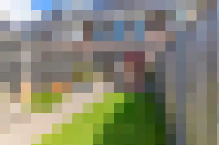 Dagpauwoog 12 Wolvega thumbnail 42