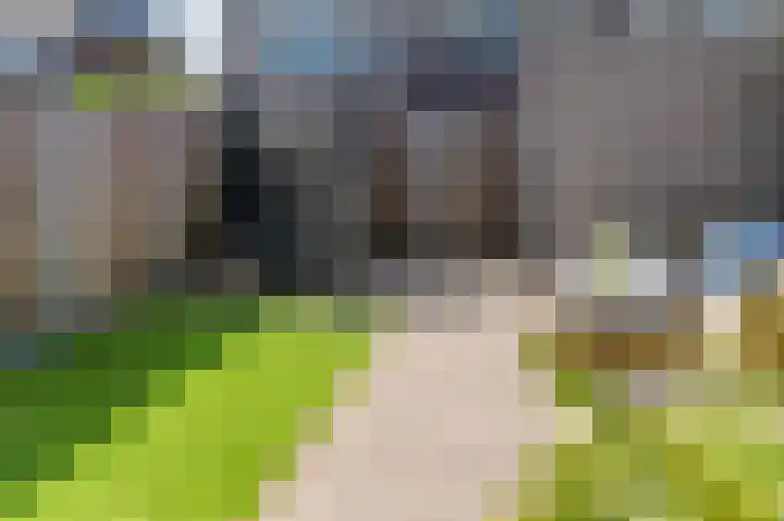 Dagpauwoog 12 Wolvega thumbnail 43