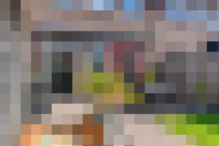 Dagpauwoog 12 Wolvega thumbnail 44