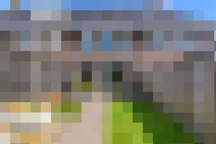 Dagpauwoog 12 Wolvega thumbnail 45