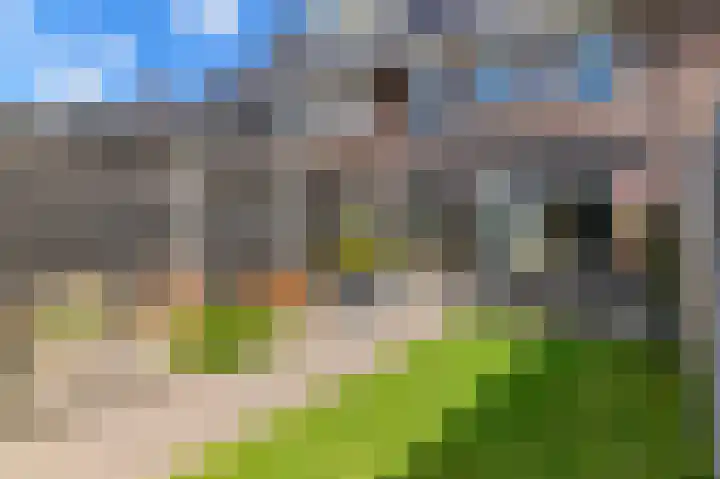 Dagpauwoog 12 Wolvega thumbnail 46