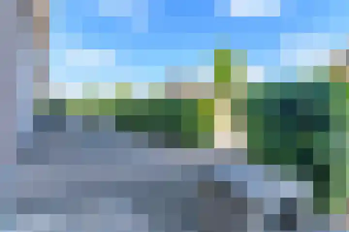 Dagpauwoog 12 Wolvega thumbnail 47