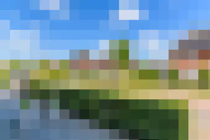 Dagpauwoog 12 Wolvega thumbnail 48