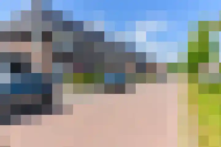 Dagpauwoog 12 Wolvega thumbnail 50