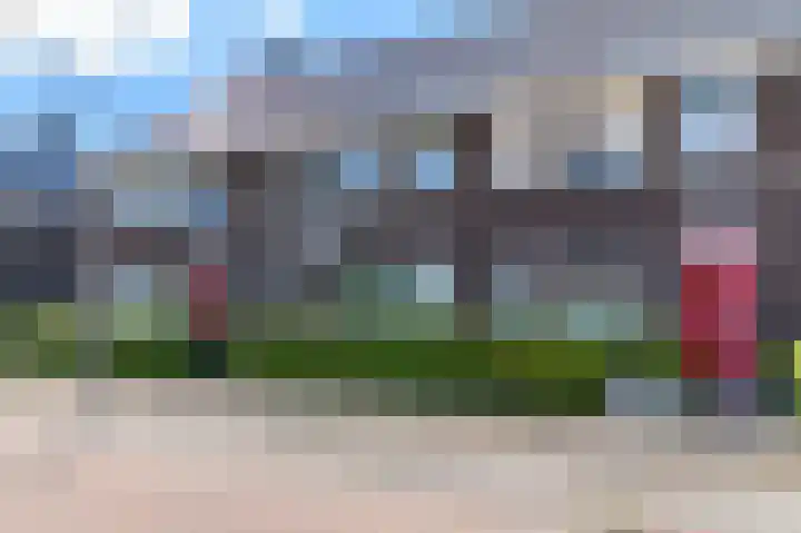 Dagpauwoog 12 Wolvega thumbnail 56