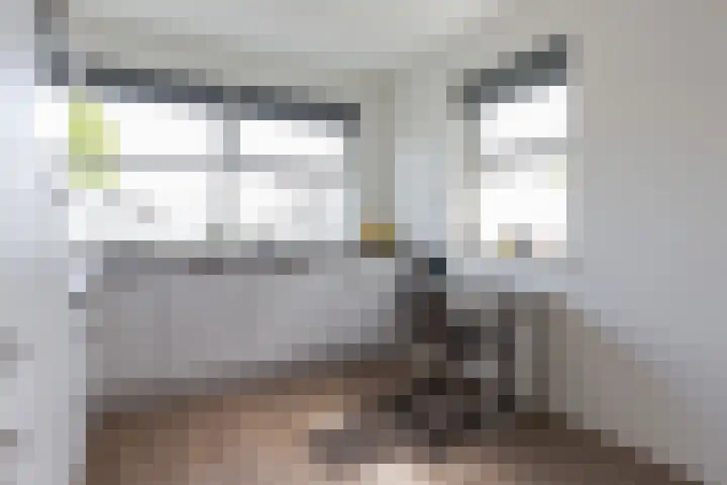 Dagpauwoog 14 Wolvega thumbnail 14