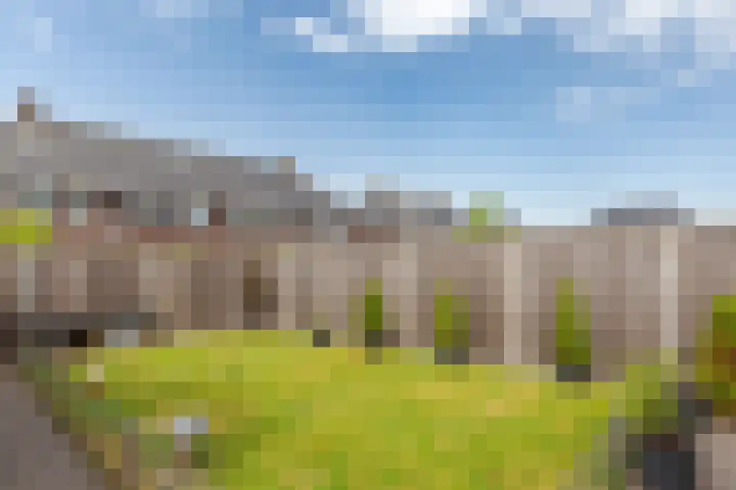 Dagpauwoog 14 Wolvega thumbnail 31