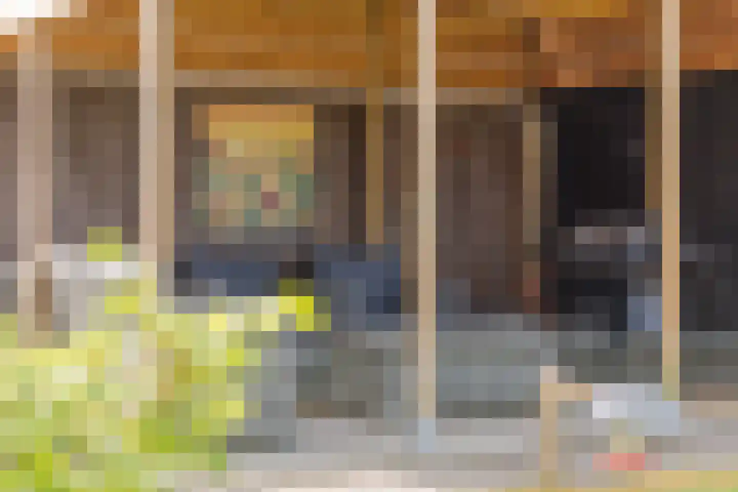 Dagpauwoog 14 Wolvega thumbnail 32