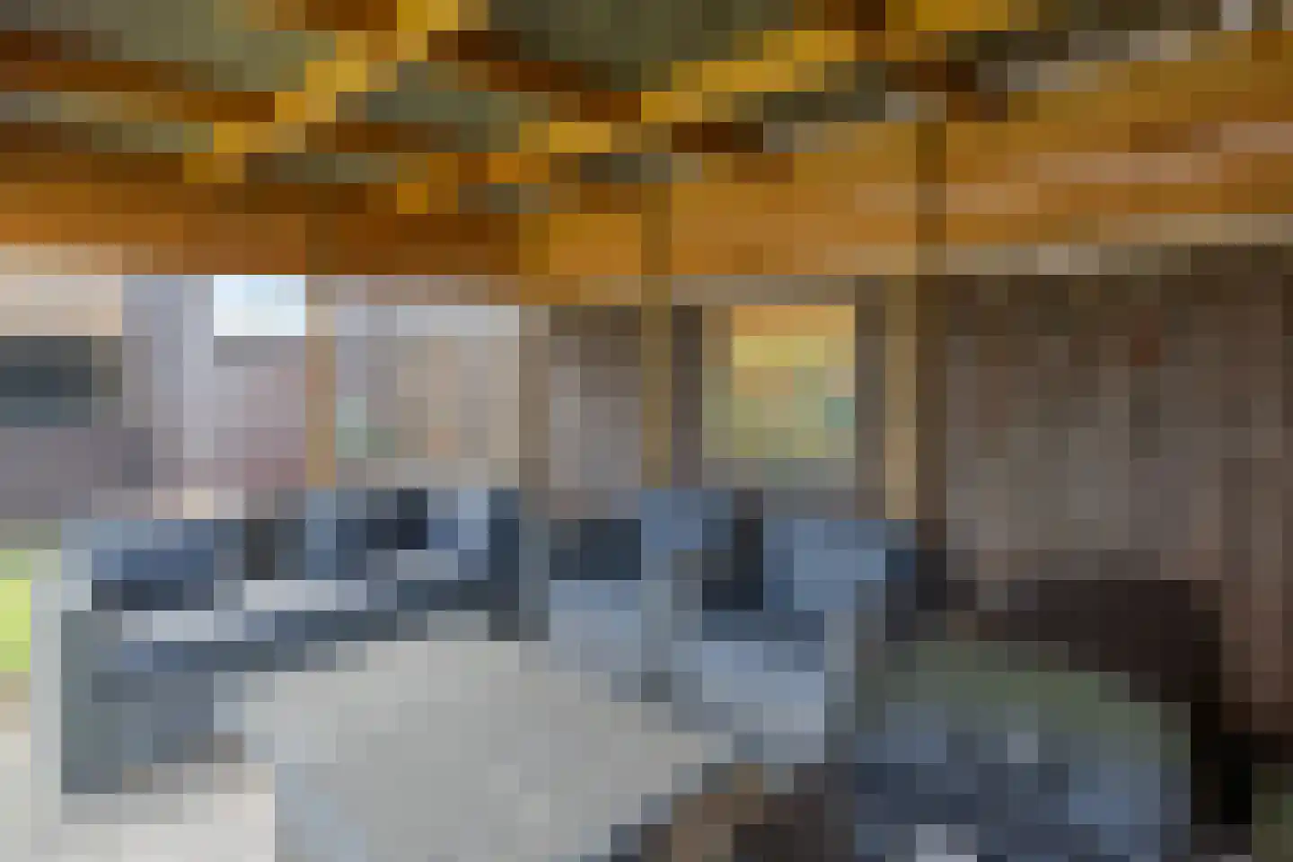 Dagpauwoog 14 Wolvega thumbnail 33