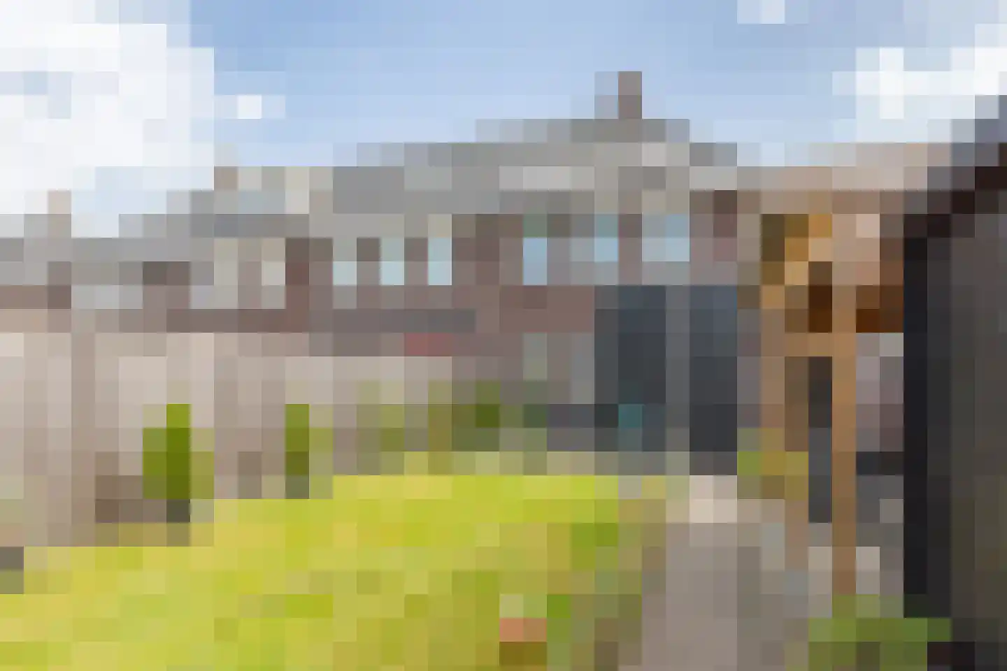 Dagpauwoog 14 Wolvega thumbnail 34