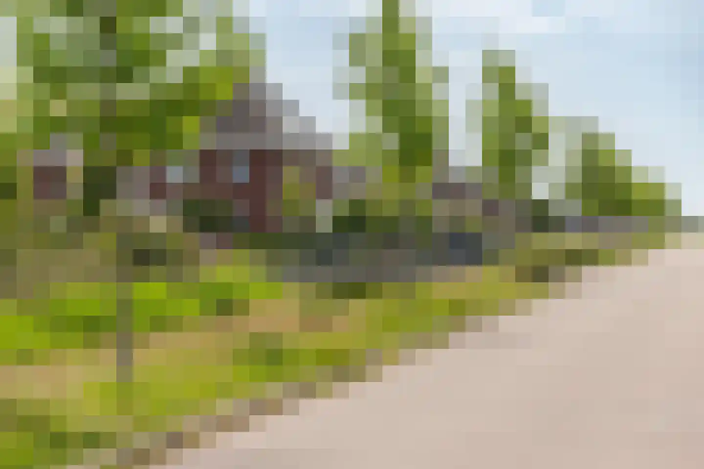 Dagpauwoog 14 Wolvega thumbnail 37