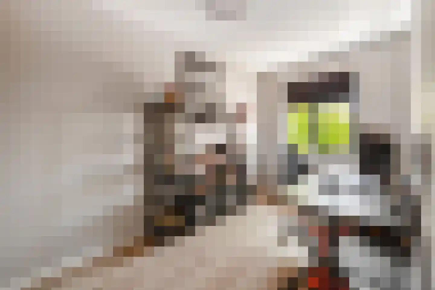 Dagpauwoog 15 's-Gravenzande thumbnail 17