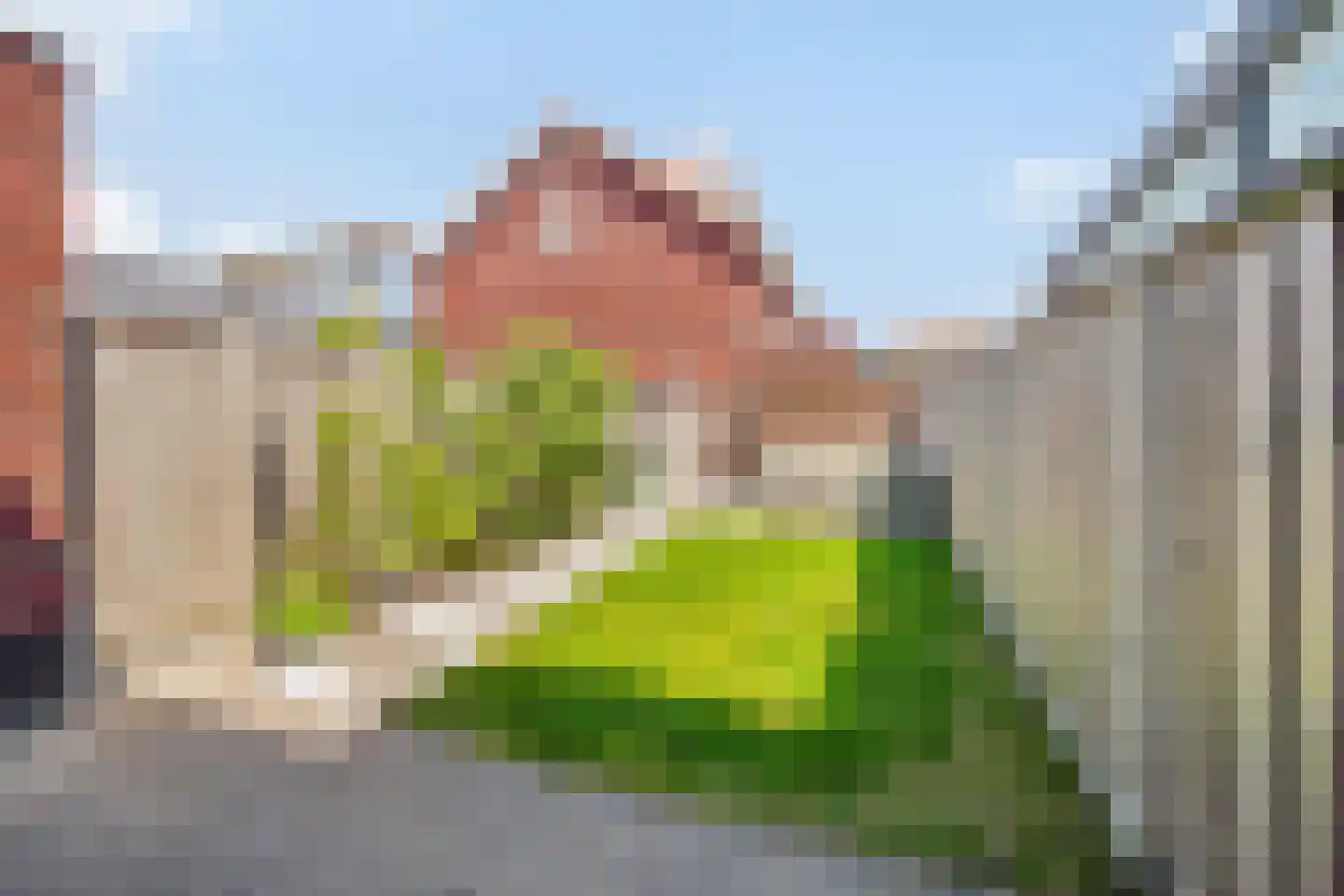 Dagpauwoog 15 's-Gravenzande thumbnail 22