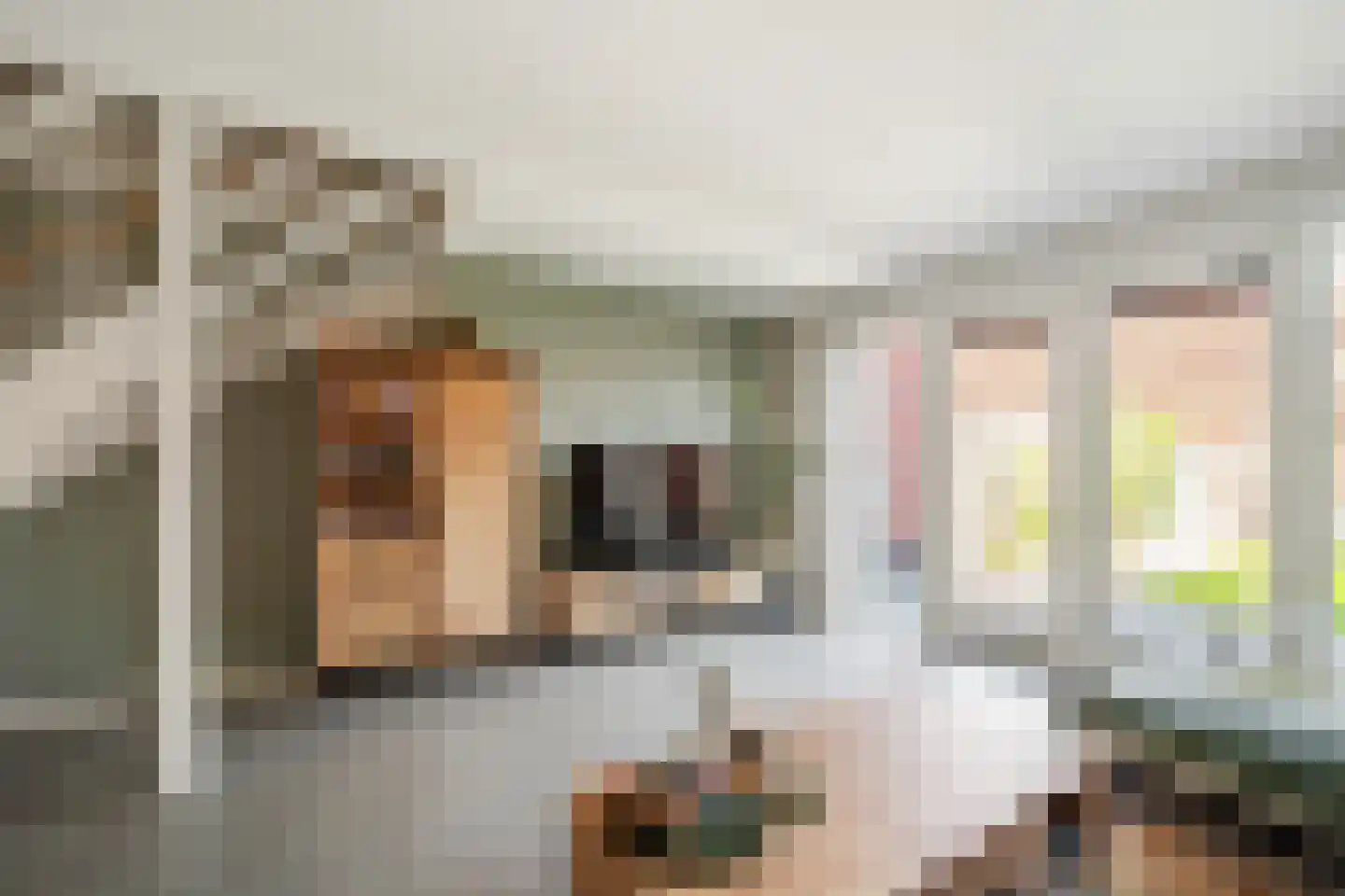 Dagpauwoog 15 's-Gravenzande thumbnail 5