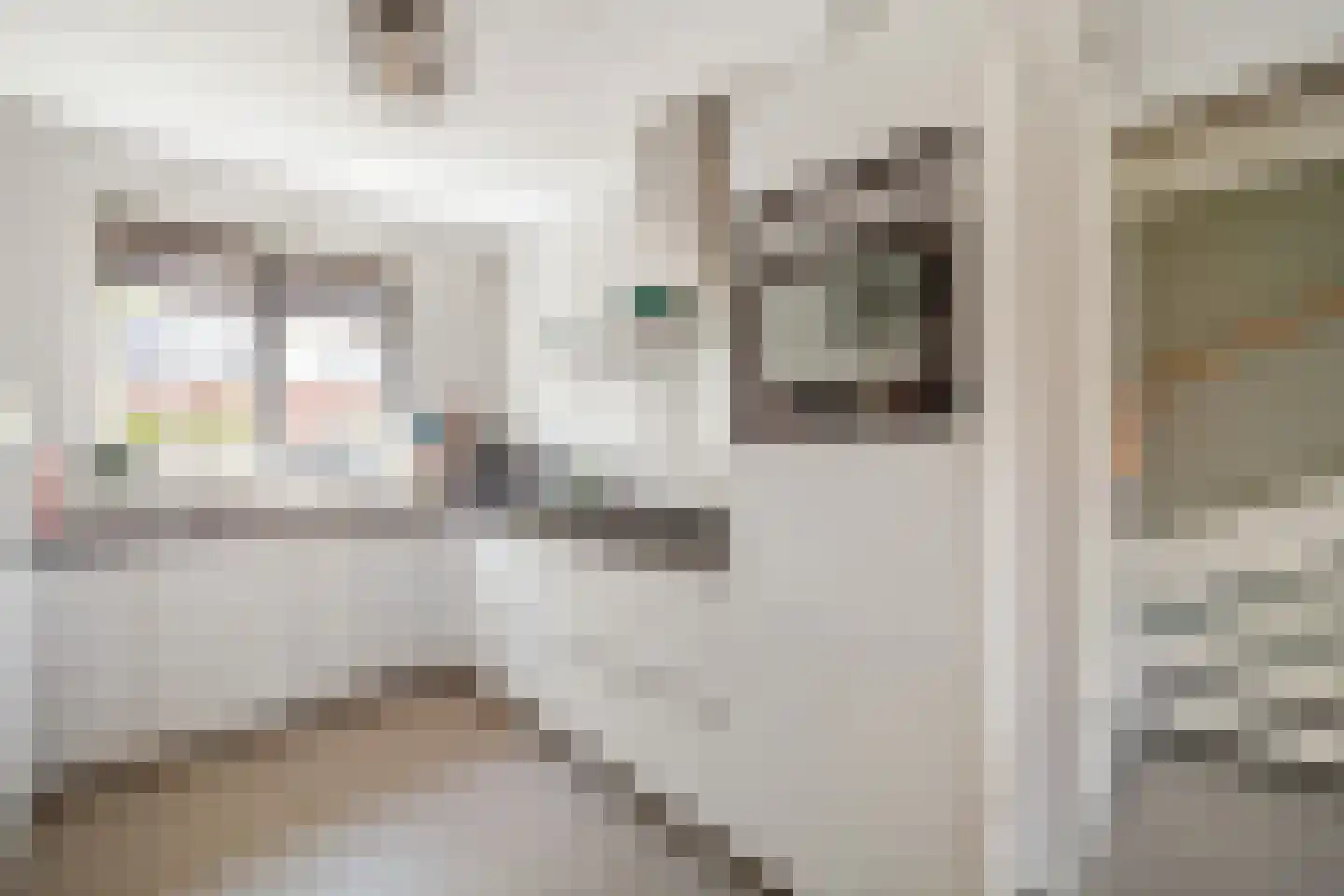Dagpauwoog 15 's-Gravenzande thumbnail 7