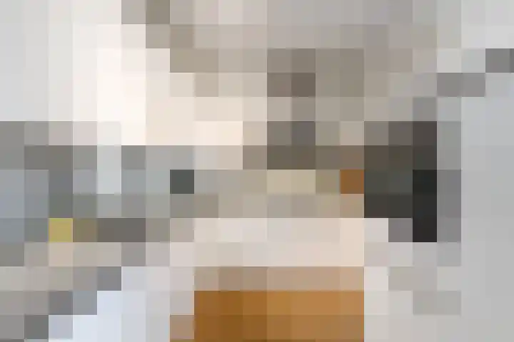 Dagpauwoog 15 Wolvega thumbnail 11