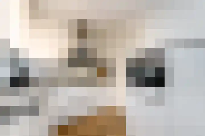 Dagpauwoog 15 Wolvega thumbnail 12