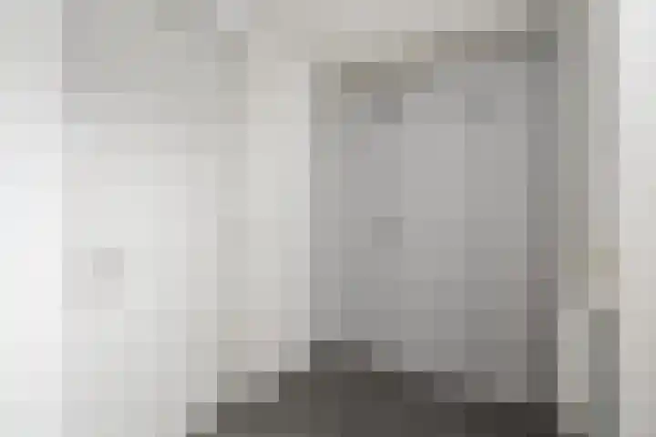 Dagpauwoog 15 Wolvega thumbnail 13