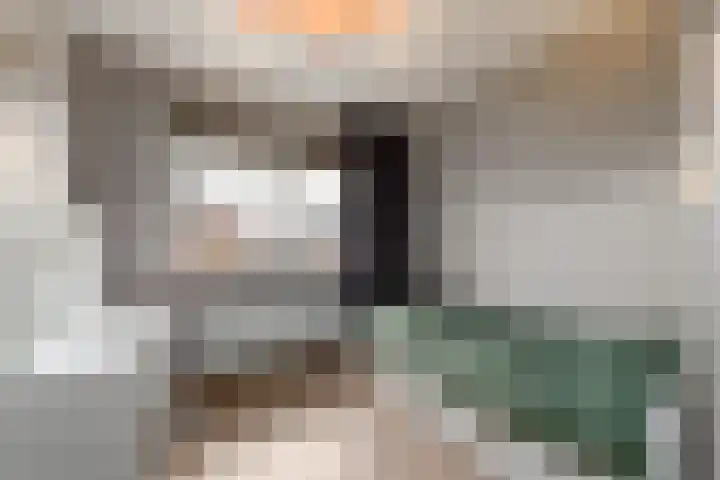Dagpauwoog 15 Wolvega thumbnail 15