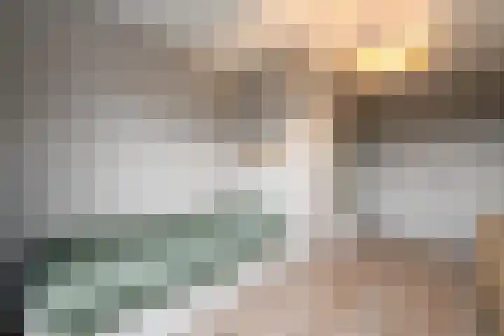 Dagpauwoog 15 Wolvega thumbnail 16