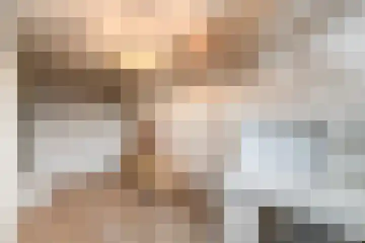 Dagpauwoog 15 Wolvega thumbnail 17